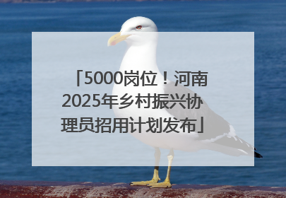 5000岗位！河南2025年乡村振兴协理员招用计划发布