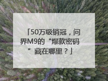 50万级销冠，问界M9的“爆款密码”藏在哪里？