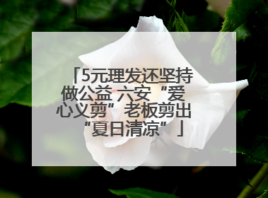 5元理发还坚持做公益 六安“爱心义剪”老板剪出“夏日清凉”
