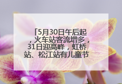 5月30日午后起，火车站客流增多，31日迎高峰，虹桥站、松江站有儿童节和端午亲子活动