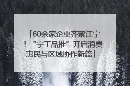 60余家企业齐聚江宁！“宁工品推”开启消费惠民与区域协作新篇