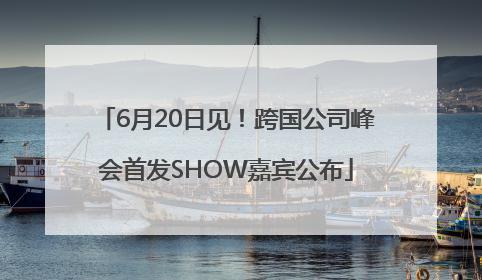 6月20日见！跨国公司峰会首发SHOW嘉宾公布