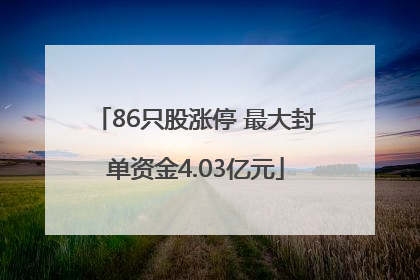 86只股涨停 最大封单资金4.03亿元