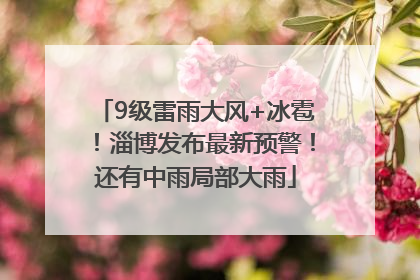 9级雷雨大风+冰雹！淄博发布最新预警！还有中雨局部大雨