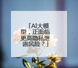AI大模型，正面临更高隐私泄露风险？