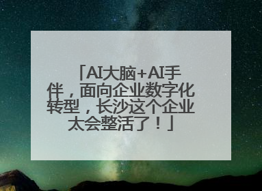 AI大脑+AI手伴，面向企业数字化转型，长沙这个企业太会整活了！