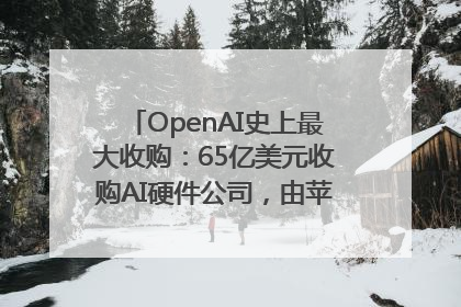 OpenAI史上最大收购：65亿美元收购AI硬件公司，由苹果前设计总监创办