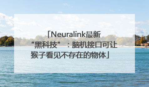 Neuralink最新“黑科技”：脑机接口可让猴子看见不存在的物体